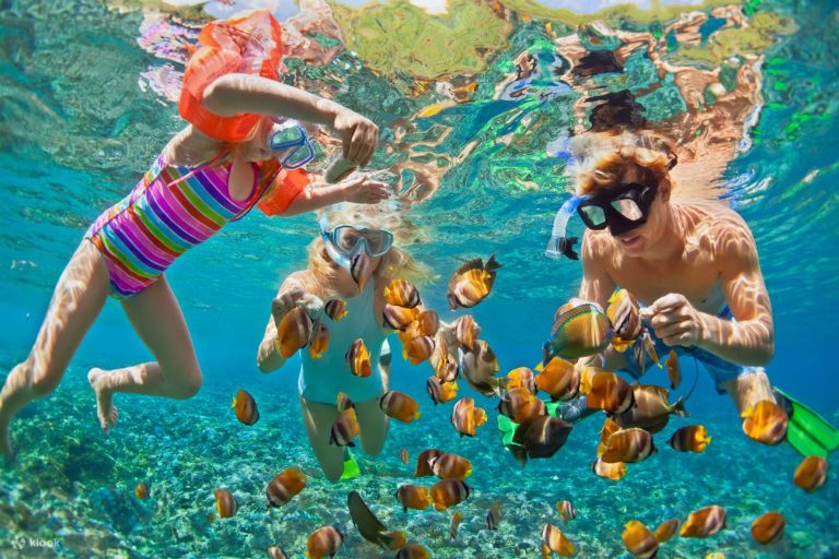 snorkeling at nusa lembongan